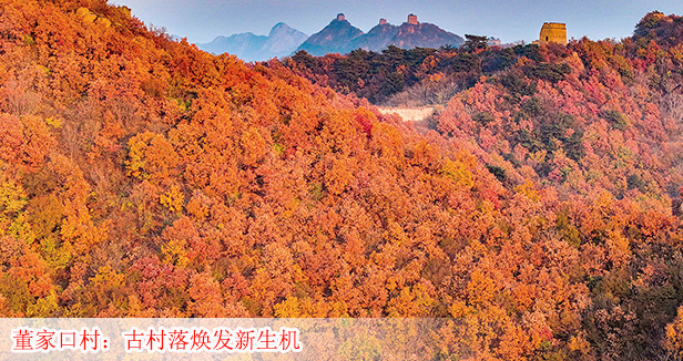 首图模板.jpg
